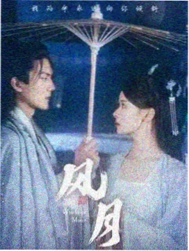 雾城手记剧集封面